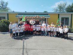 img (3)